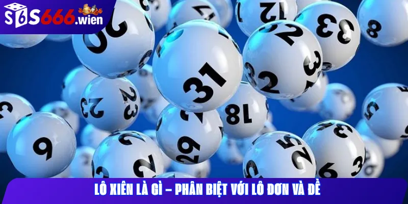 Lô Xiên Là Gì – Phân Biệt Với Lô Đơn Và Đề