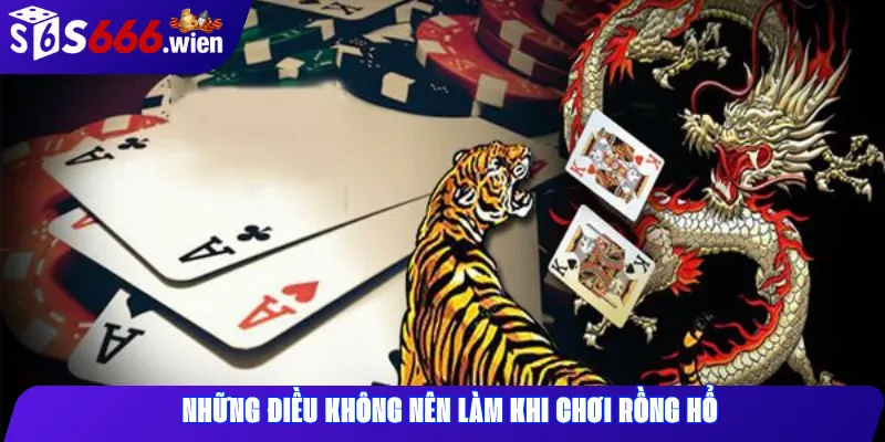 Những Điều Không Nên Làm Khi Chơi Rồng Hổ