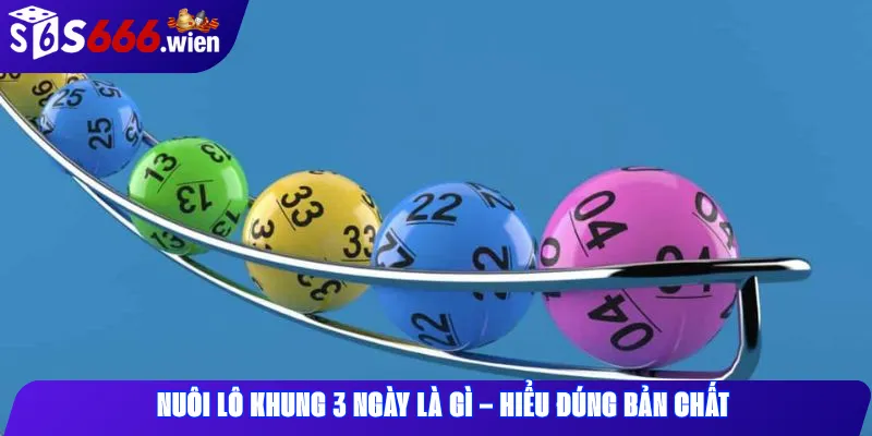 Nuôi Lô Khung 3 Ngày Là Gì – Hiểu Đúng Bản Chất