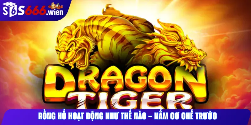 Rồng Hổ Hoạt Động Như Thế Nào – Nắm Cơ Chế Trước