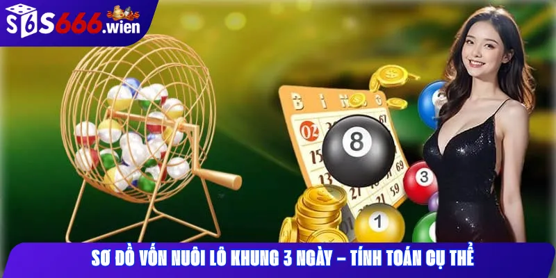 Sơ Đồ Vốn Nuôi Lô Khung 3 Ngày – Tính Toán Cụ Thể
